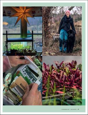 dagbladet_magasinet-20171202_000_00_00_069.pdf