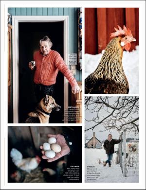 dagbladet_magasinet-20180324_000_00_00_061.pdf