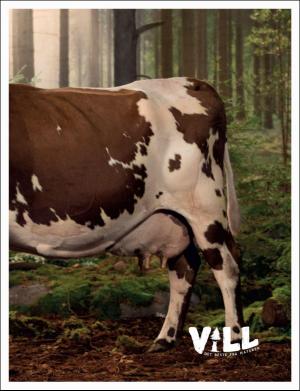 dagbladet_magasinet-20180324_000_00_00_073.pdf