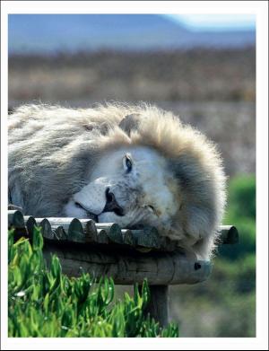 dagbladet_magasinet-20180414_000_00_00_047.pdf