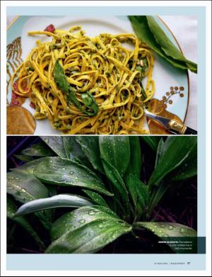 dagbladet_magasinet-20180519_000_00_00_057.pdf