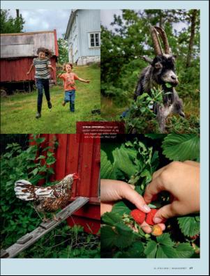 dagbladet_magasinet-20180721_000_00_00_049.pdf