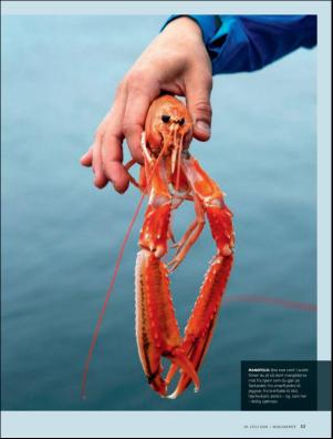 dagbladet_magasinet-20180728_000_00_00_053.pdf