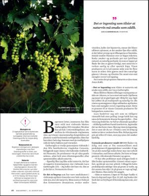 dagbladet_magasinet-20180825_000_00_00_040.pdf