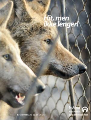 dagbladet_magasinet-20180922_000_00_00_093.pdf