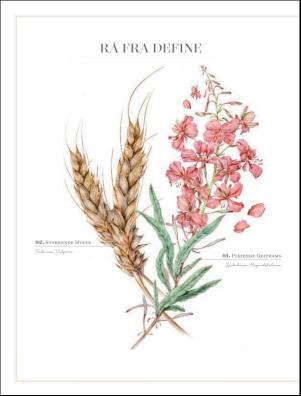 dagbladet_magasinet-20181027_000_00_00_004.pdf