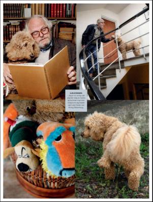 dagbladet_magasinet-20181027_000_00_00_047.pdf