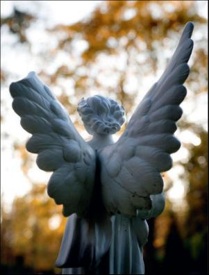 dagbladet_magasinet-20181103_000_00_00_012.pdf