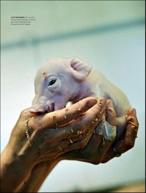 dagbladet_magasinet-20181222_000_00_00_032.pdf