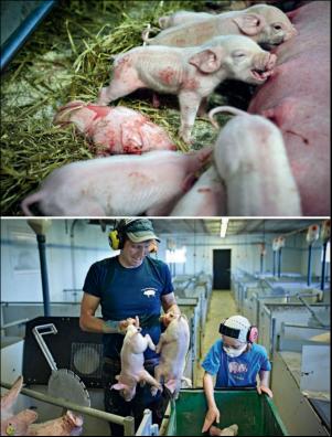 dagbladet_magasinet-20181222_000_00_00_036.pdf