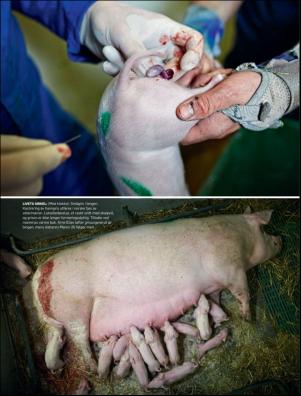 dagbladet_magasinet-20181222_000_00_00_037.pdf