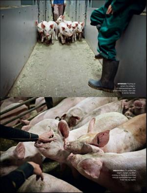 dagbladet_magasinet-20181222_000_00_00_039.pdf