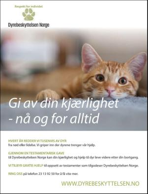 dagbladet_magasinet-20181222_000_00_00_103.pdf