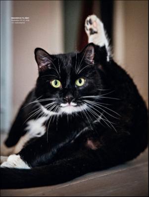 dagbladet_magasinet-20190201_000_00_00_043.pdf