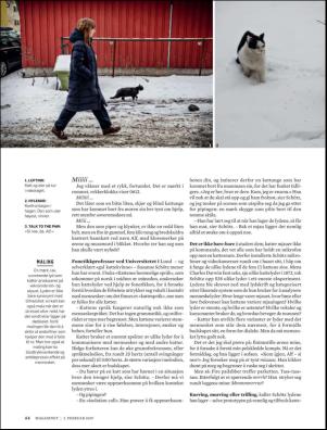 dagbladet_magasinet-20190201_000_00_00_044.pdf