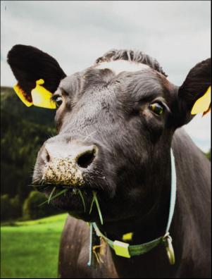 dagbladet_magasinet-20190223_000_00_00_002.pdf