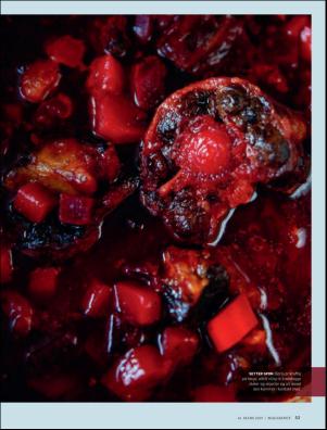 dagbladet_magasinet-20190316_000_00_00_053.pdf