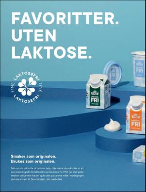 dagbladet_magasinet-20190406_000_00_00_004.pdf