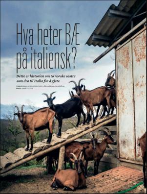 dagbladet_magasinet-20190511_000_00_00_038.pdf