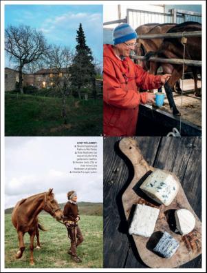 dagbladet_magasinet-20190511_000_00_00_041.pdf