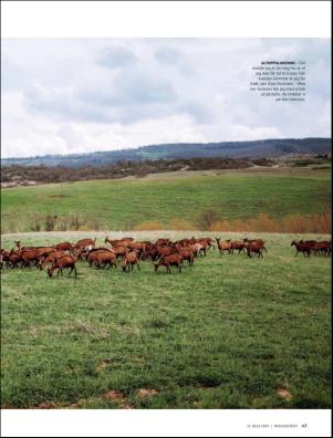 dagbladet_magasinet-20190511_000_00_00_043.pdf