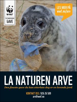 dagbladet_magasinet-20190608_000_00_00_060.pdf