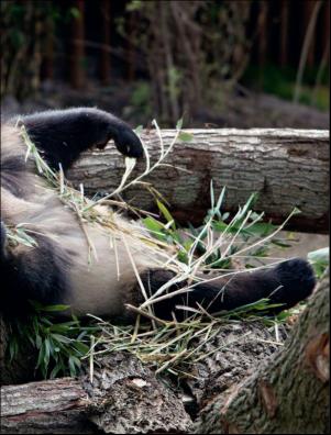 dagbladet_magasinet-20190622_000_00_00_015.pdf