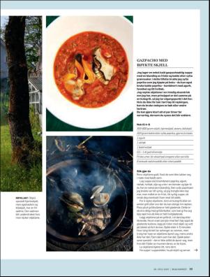 dagbladet_magasinet-20190720_000_00_00_055.pdf