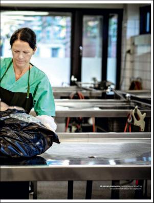 dagbladet_magasinet-20191123_000_00_00_027.pdf