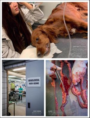 dagbladet_magasinet-20191123_000_00_00_029.pdf