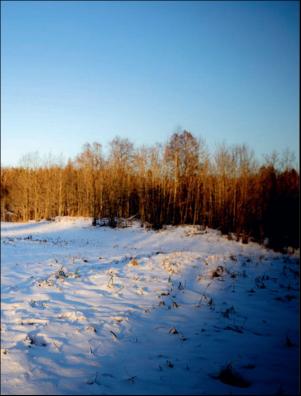 dagbladet_magasinet-20191221_000_00_00_039.pdf