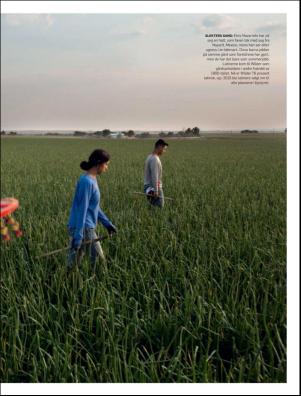 dagbladet_magasinet-20200104_000_00_00_035.pdf