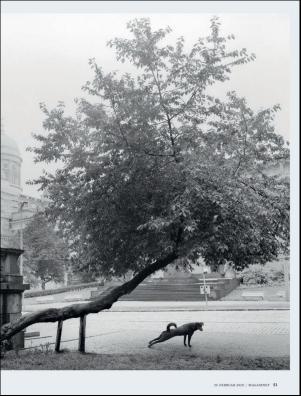 dagbladet_magasinet-20200229_000_00_00_051.pdf