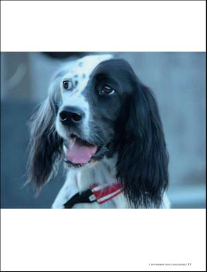 dagbladet_magasinet-20201107_000_00_00_011.pdf