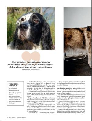 dagbladet_magasinet-20201107_000_00_00_016.pdf