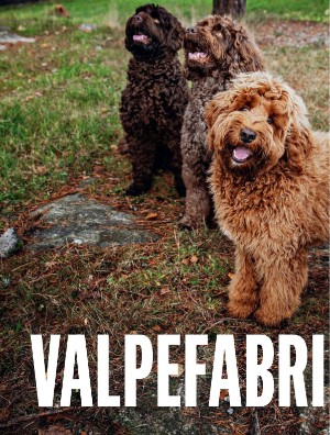 dagbladet_magasinet-20201205_000_00_00_008.pdf