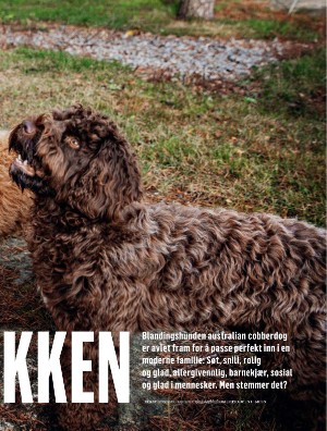 dagbladet_magasinet-20201205_000_00_00_009.pdf