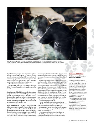 dagbladet_magasinet-20210123_000_00_00_015.pdf