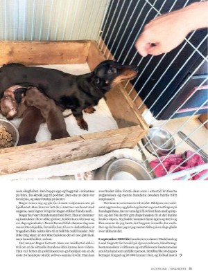 dagbladet_magasinet-20210619_000_00_00_031.pdf