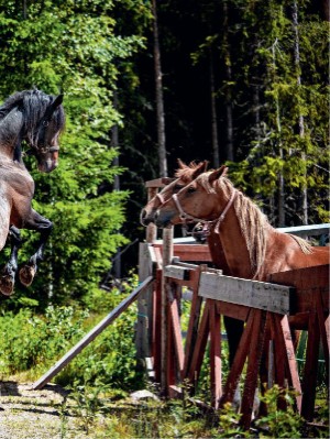 dagbladet_magasinet-20210821_000_00_00_015.pdf