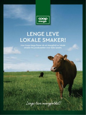 dagbladet_magasinet-20210918_000_00_00_050.pdf