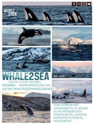 dagbladet_magasinet-20210925_000_00_00_056.pdf