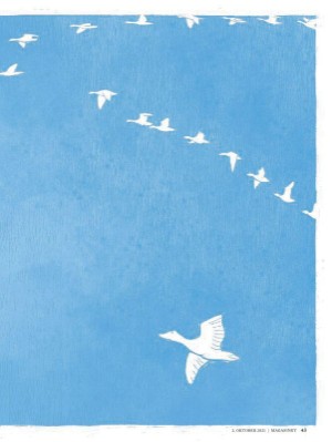 dagbladet_magasinet-20211002_000_00_00_043.pdf