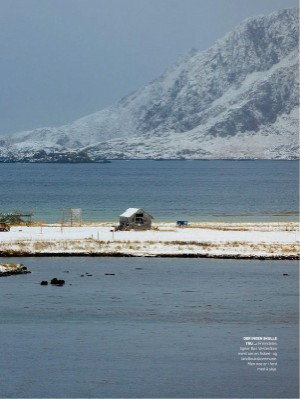 dagbladet_magasinet-20211120_000_00_00_007.pdf