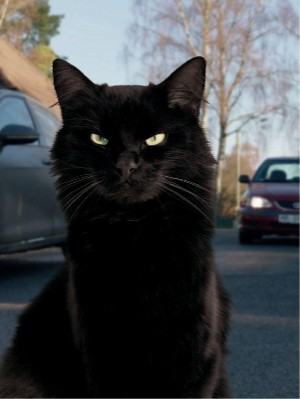 dagbladet_magasinet-20211224_000_00_00_004.pdf