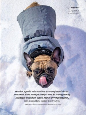 dagbladet_magasinet-20220219_000_00_00_009.pdf