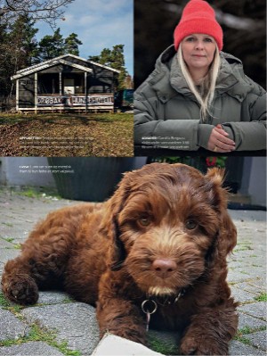 dagbladet_magasinet-20220312_000_00_00_030.pdf