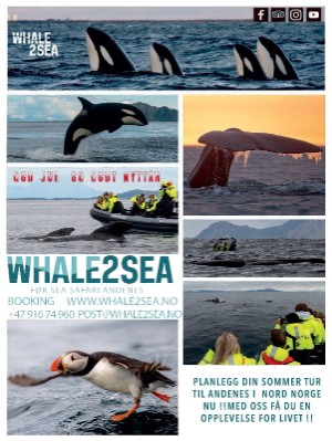 dagbladet_magasinet-20220312_000_00_00_056.pdf