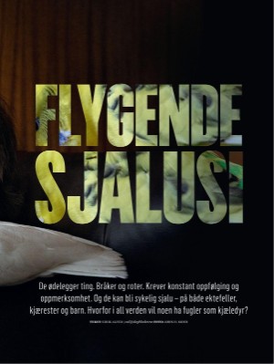 dagbladet_magasinet-20220423_000_00_00_035.pdf