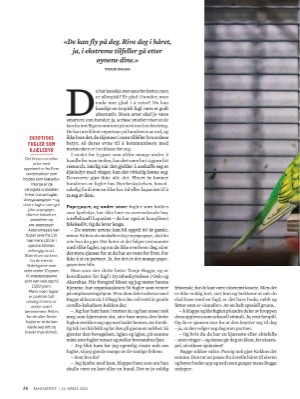 dagbladet_magasinet-20220423_000_00_00_036.pdf